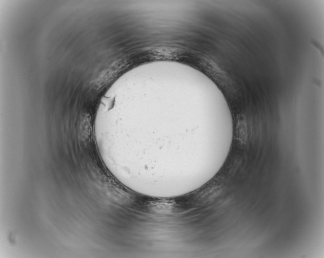 X0000102470318200808291610