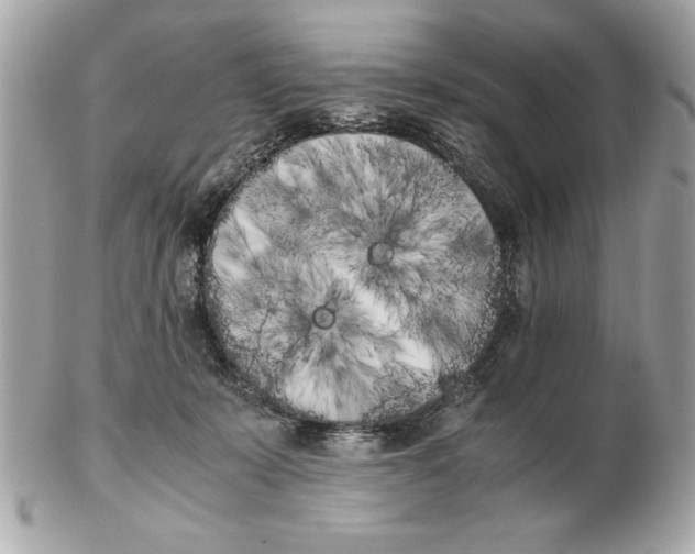 X0000102470319200808291610