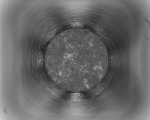 X0000102470320200808291610
