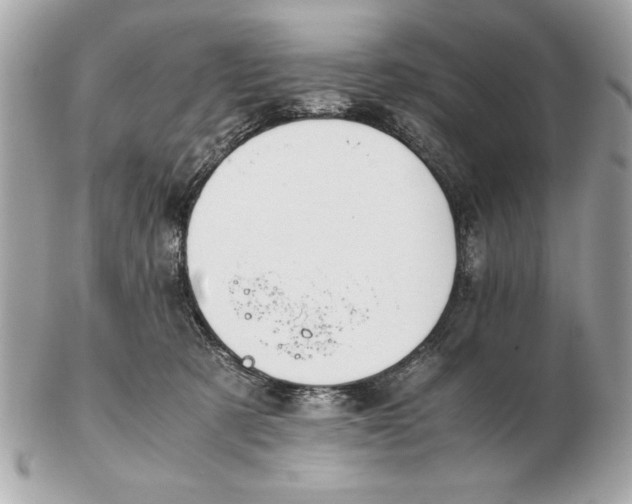 X0000102470321200808291610