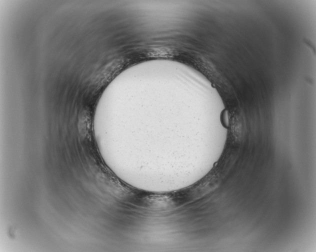 X0000102470322200808291610
