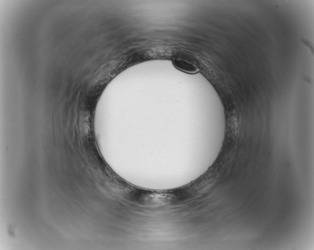 X0000102470323200808291610
