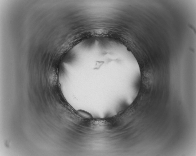X0000102470324200808291610