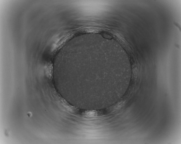X0000102470325200808291610
