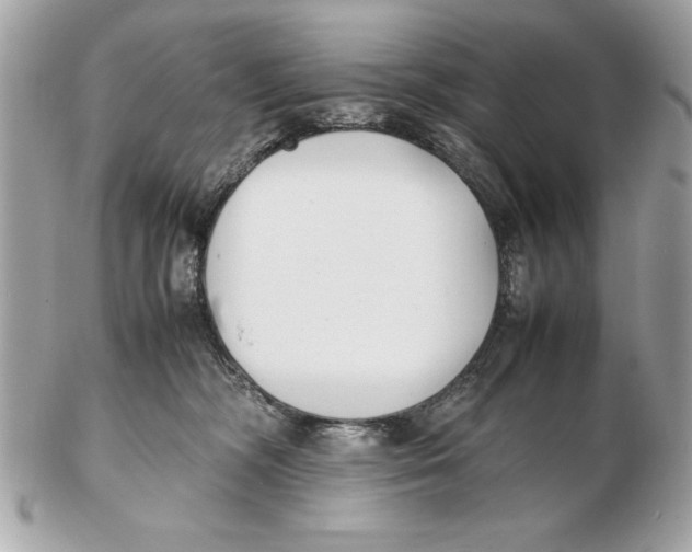 X0000102470326200808291610