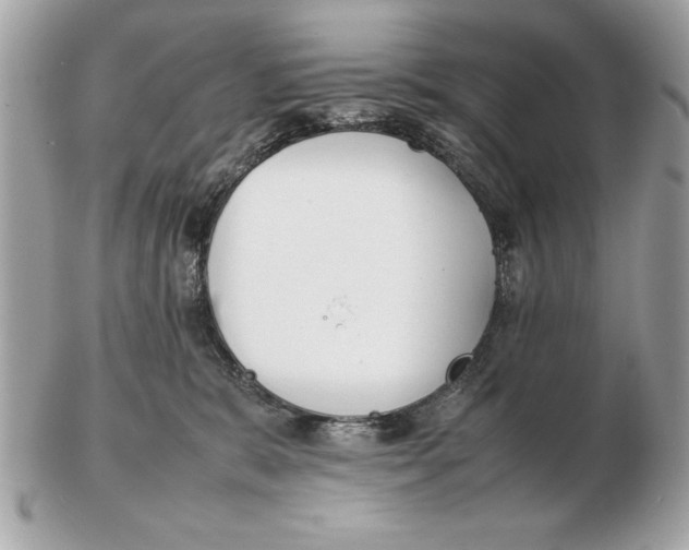 X0000102470327200808291610