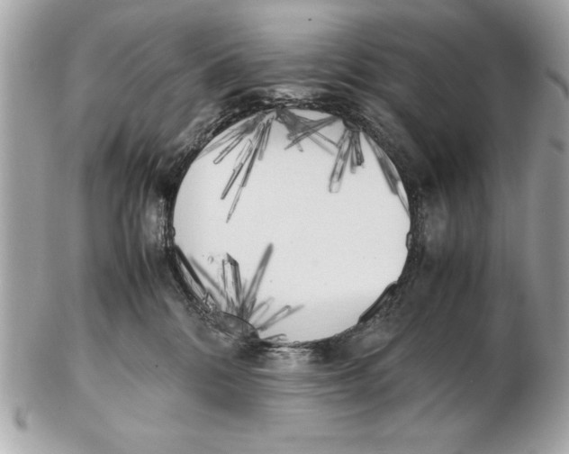 X0000102470328200808291610