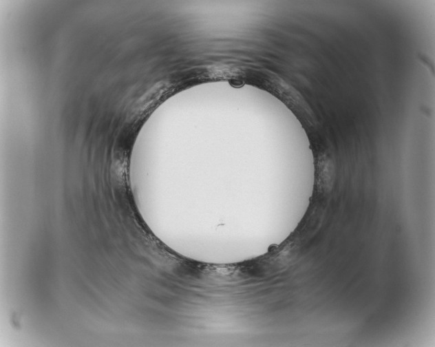 X0000102470329200808291610