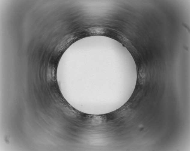 X0000102470330200808291610