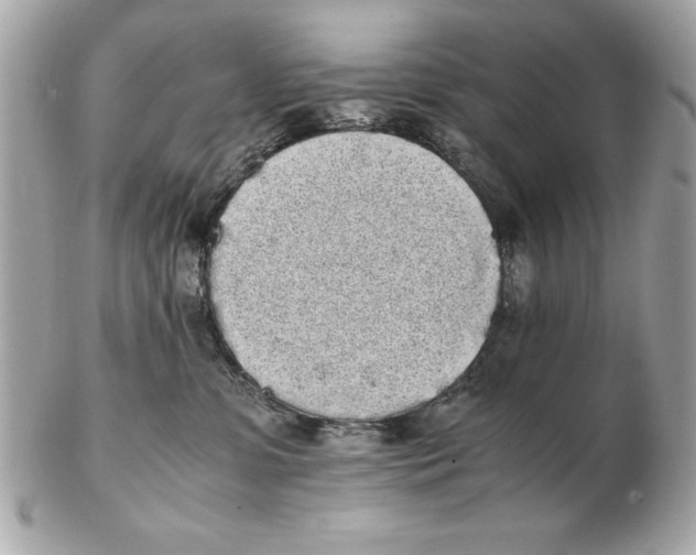 X0000102470331200808291610
