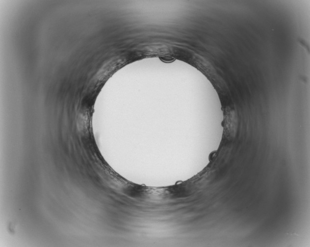 X0000102470333200808291610