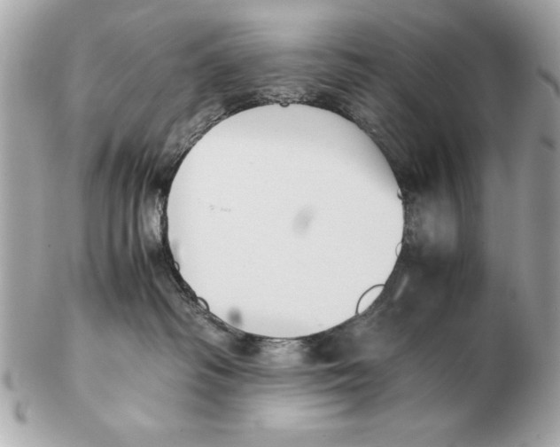 X0000102470334200808291610