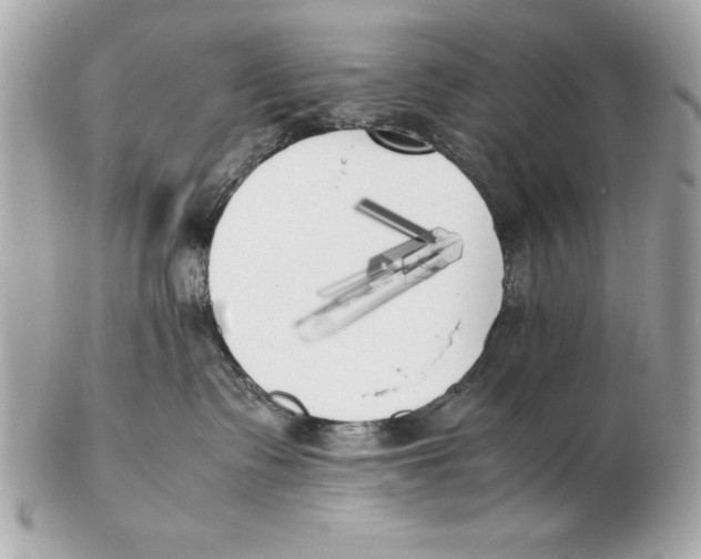 X0000102470335200808291610