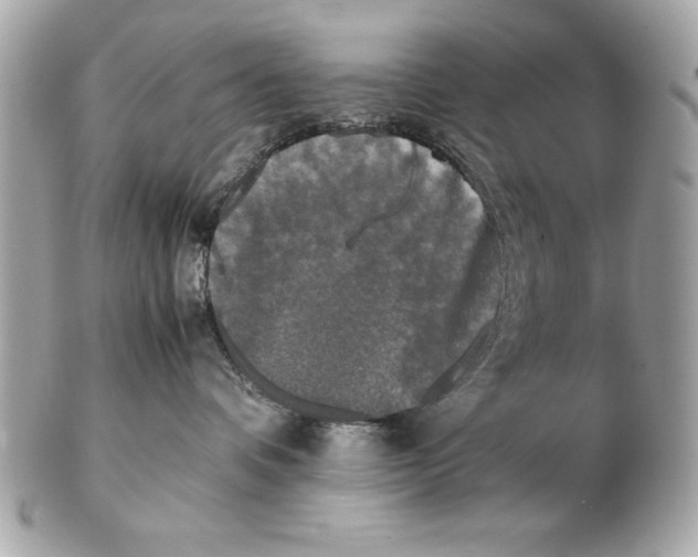X0000102470336200808291610