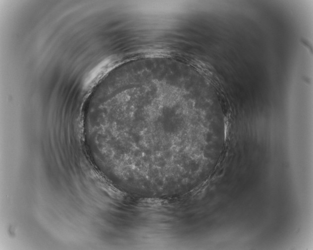 X0000102470339200808291609