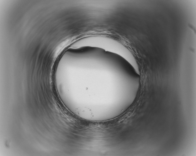 X0000102470340200808291609