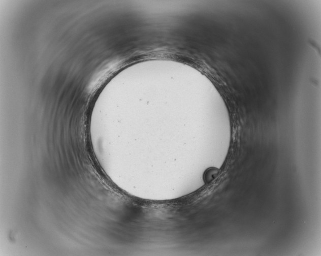 X0000102470341200808291609