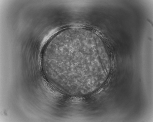 X0000102470343200808291609