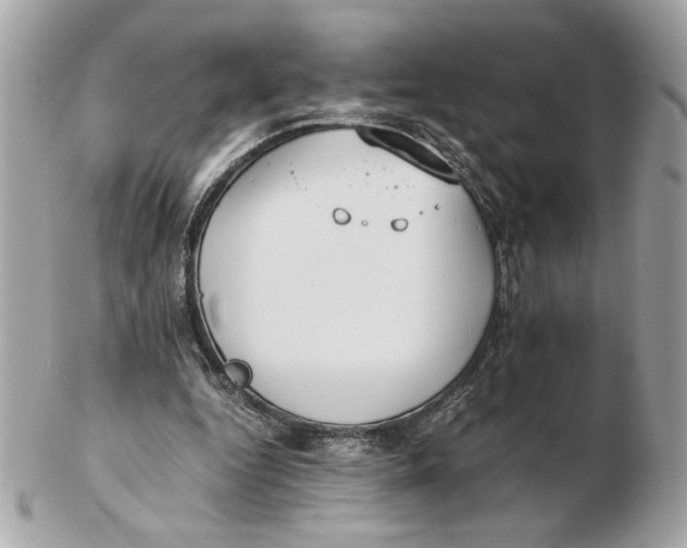X0000102470344200808291609