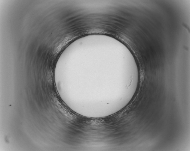 X0000102470345200808291609