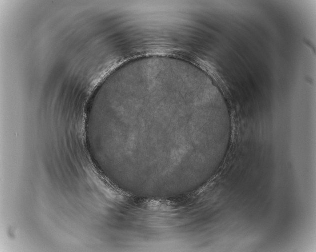 X0000102470346200808291609