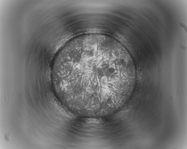 X0000102470347200808291609
