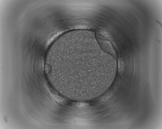 X0000102470348200808291609