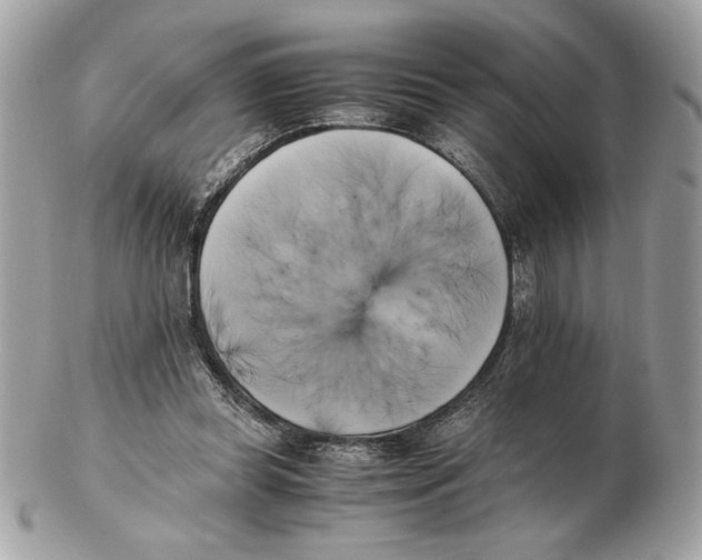 X0000102470349200808291609