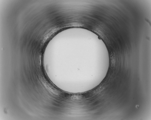 X0000102470350200808291609