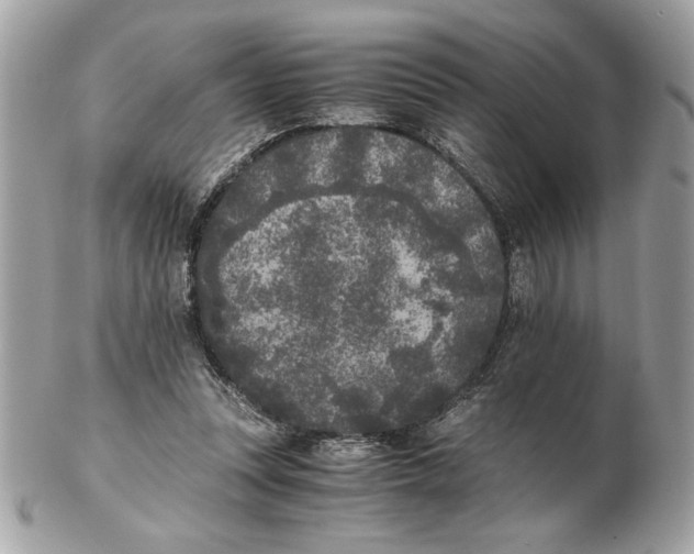 X0000102470351200808291610