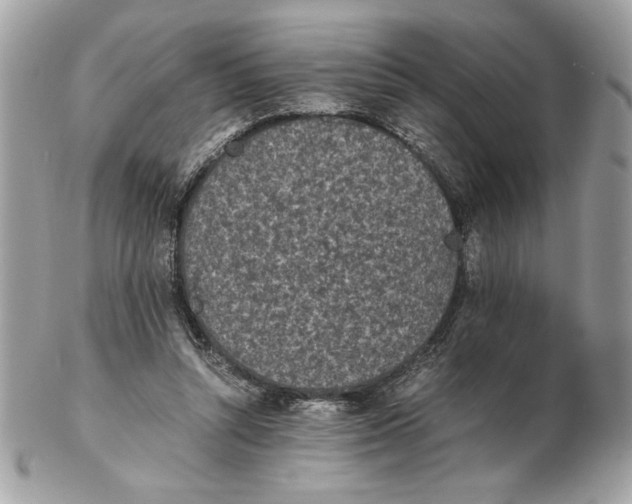 X0000102470352200808291610