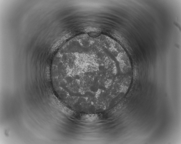 X0000102470353200808291610