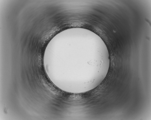 X0000102470354200808291610