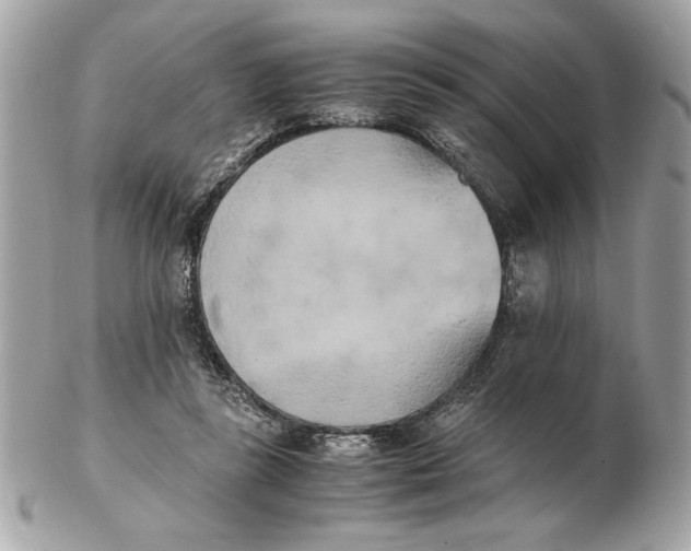 X0000102470355200808291610