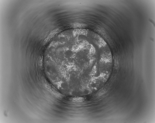 X0000102470357200808291610