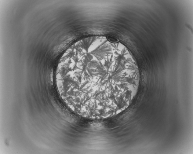 X0000102470358200808291610