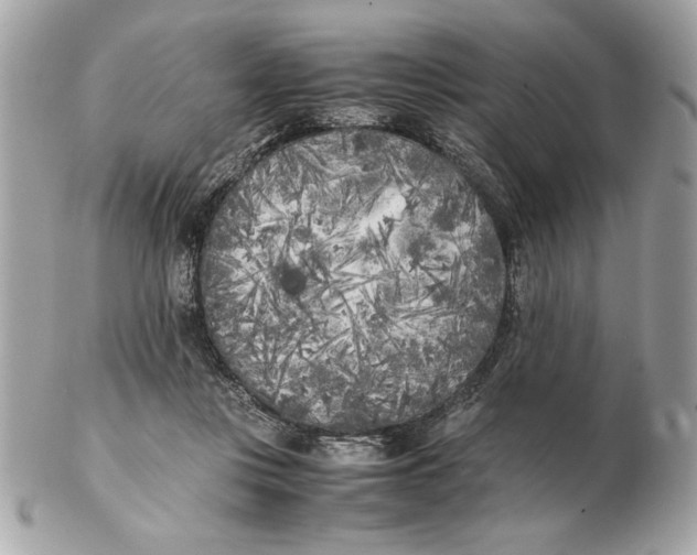X0000102470359200808291610