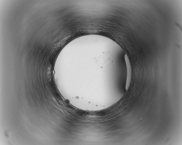 X0000102470360200808291610