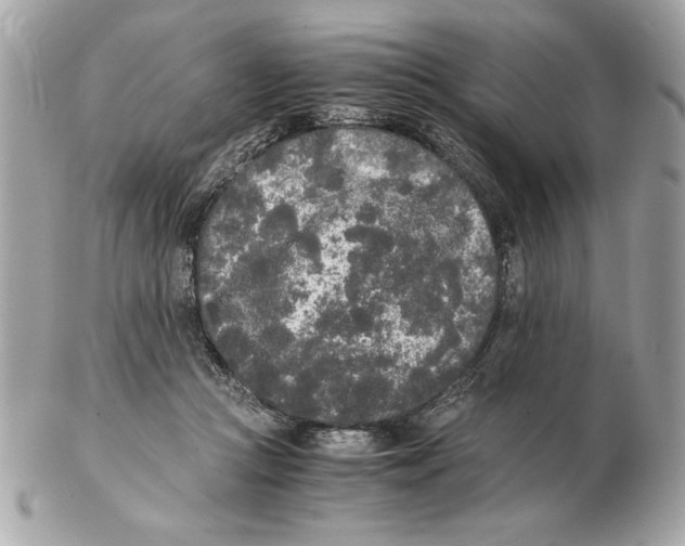 X0000102470361200808291610