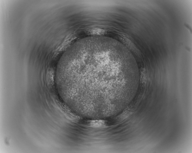 X0000102470363200808291610