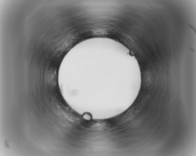 X0000102470364200808291610