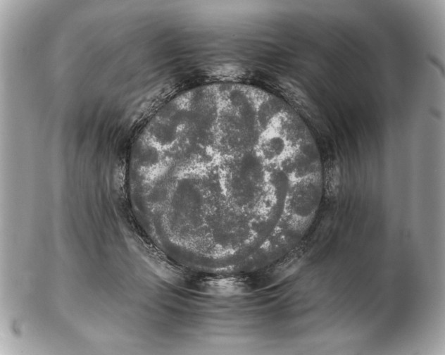 X0000102470365200808291610