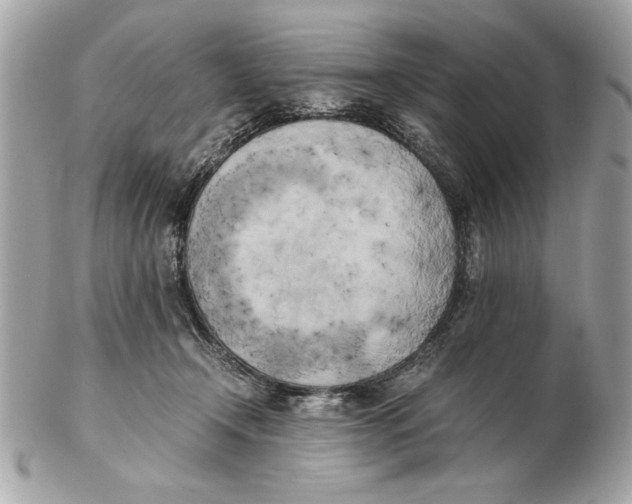 X0000102470366200808291610