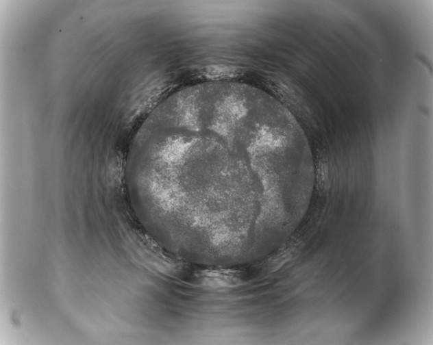 X0000102470367200808291610
