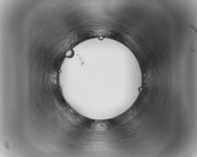 X0000102470368200808291610