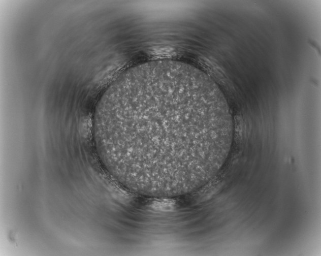X0000102470369200808291610