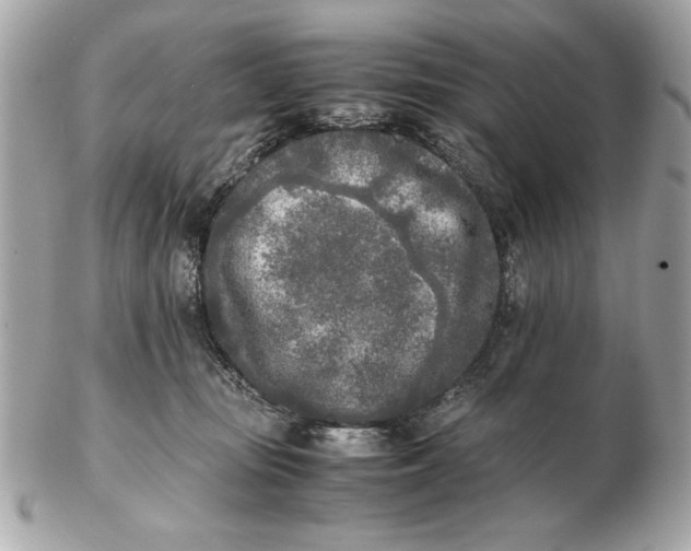 X0000102470371200808291610