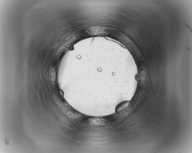 X0000102470372200808291610