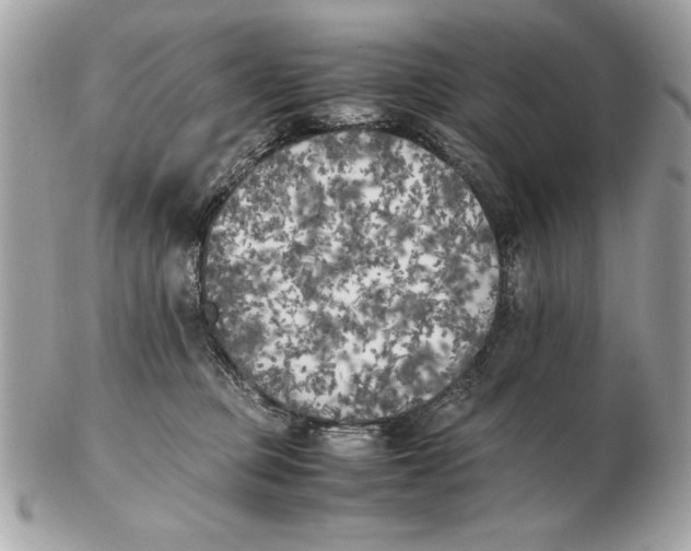 X0000102470373200808291610