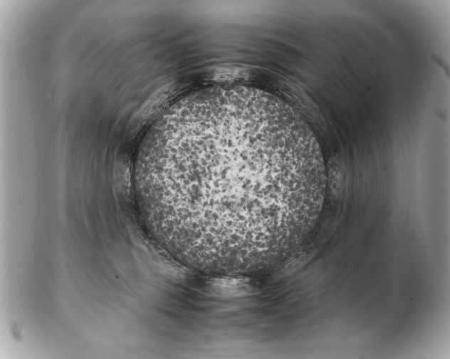 X0000102470375200808291610